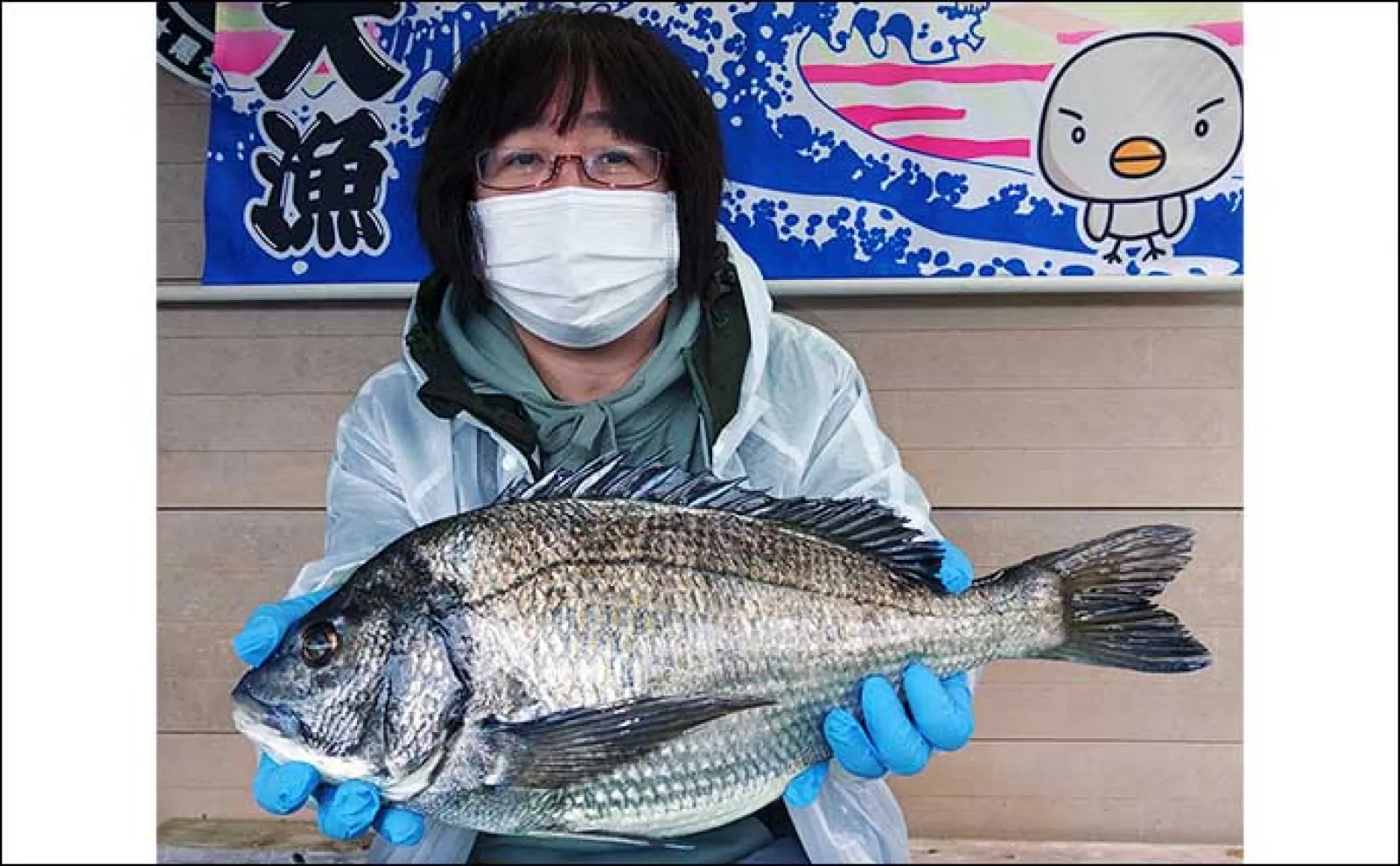 イカダで乗っ込みクロダイの気配濃厚【三重】カカリ釣り最新釣果