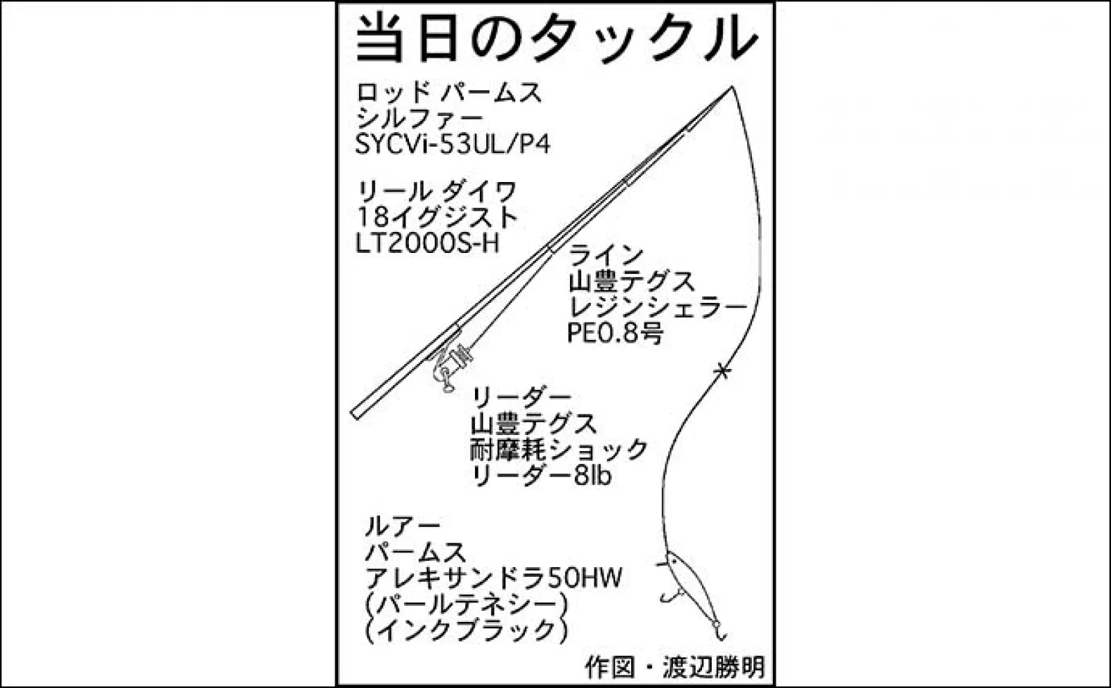 渓流ルアー釣行で40cm超えブラウントラウトと対面【愛知・段戸川C&R区間】