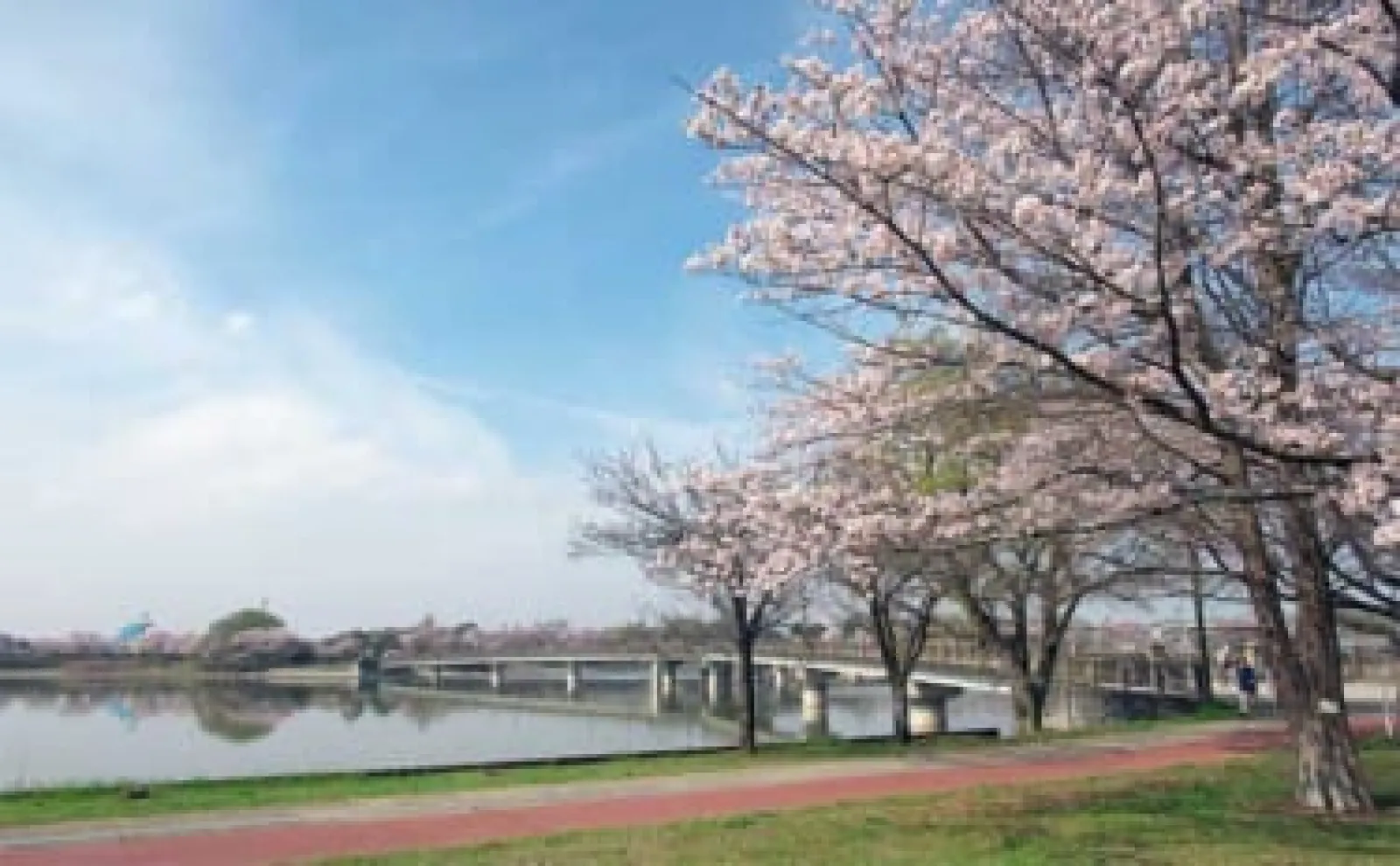 今週のヘラブナ推薦釣り場2023【茨城県・砂沼】