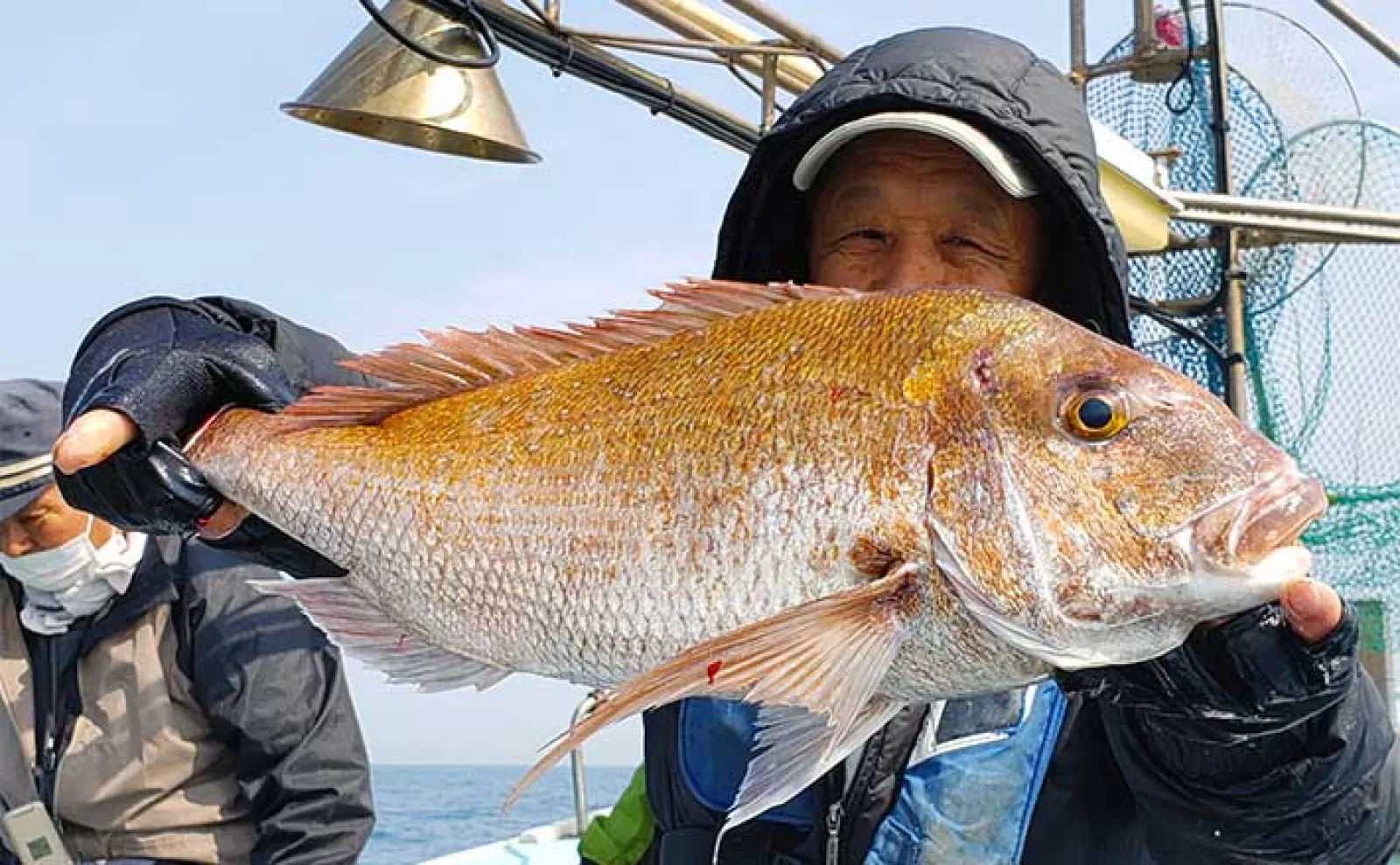 玄界灘のケンサキイカ7杯（2023年5月28日の釣果） - 魚介類