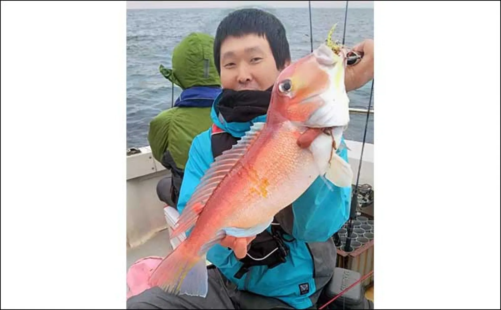 山陰のタイラバで乗っ込みの大ダイが続々【鳥取・FIELD’s】最小でも74cm