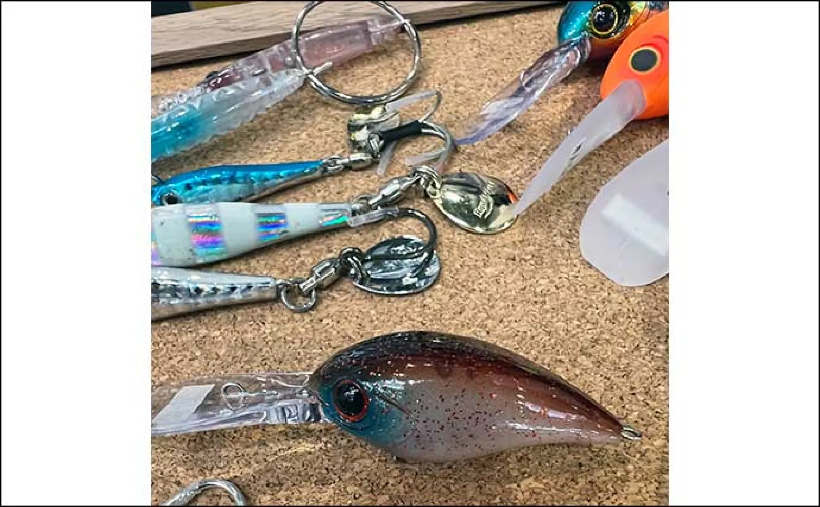 ルアー釣り愛好家が「ほくりくフィッシングフェスタ」で気になったルアーを紹介