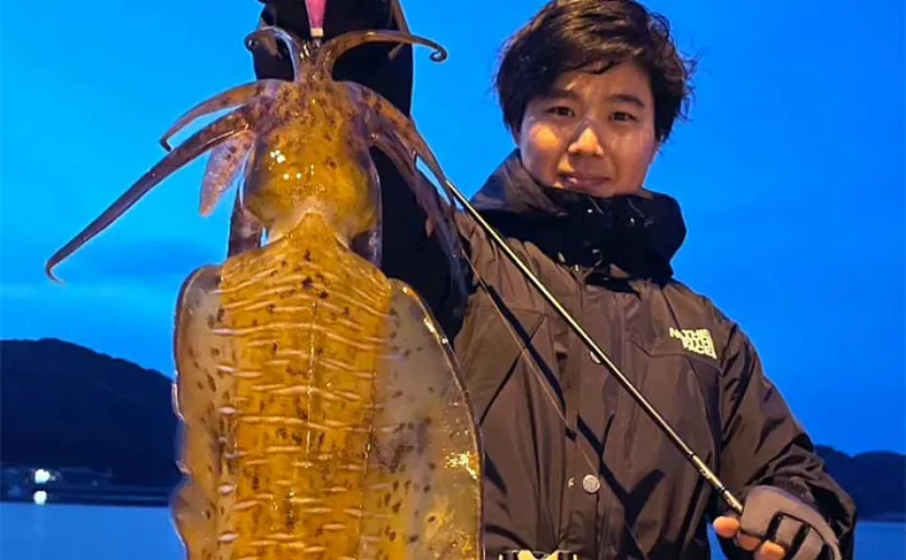 陸っぱりエギングで1400g大型アオリイカをキャッチ【熊本・天草】4号エギで寄せて釣る？