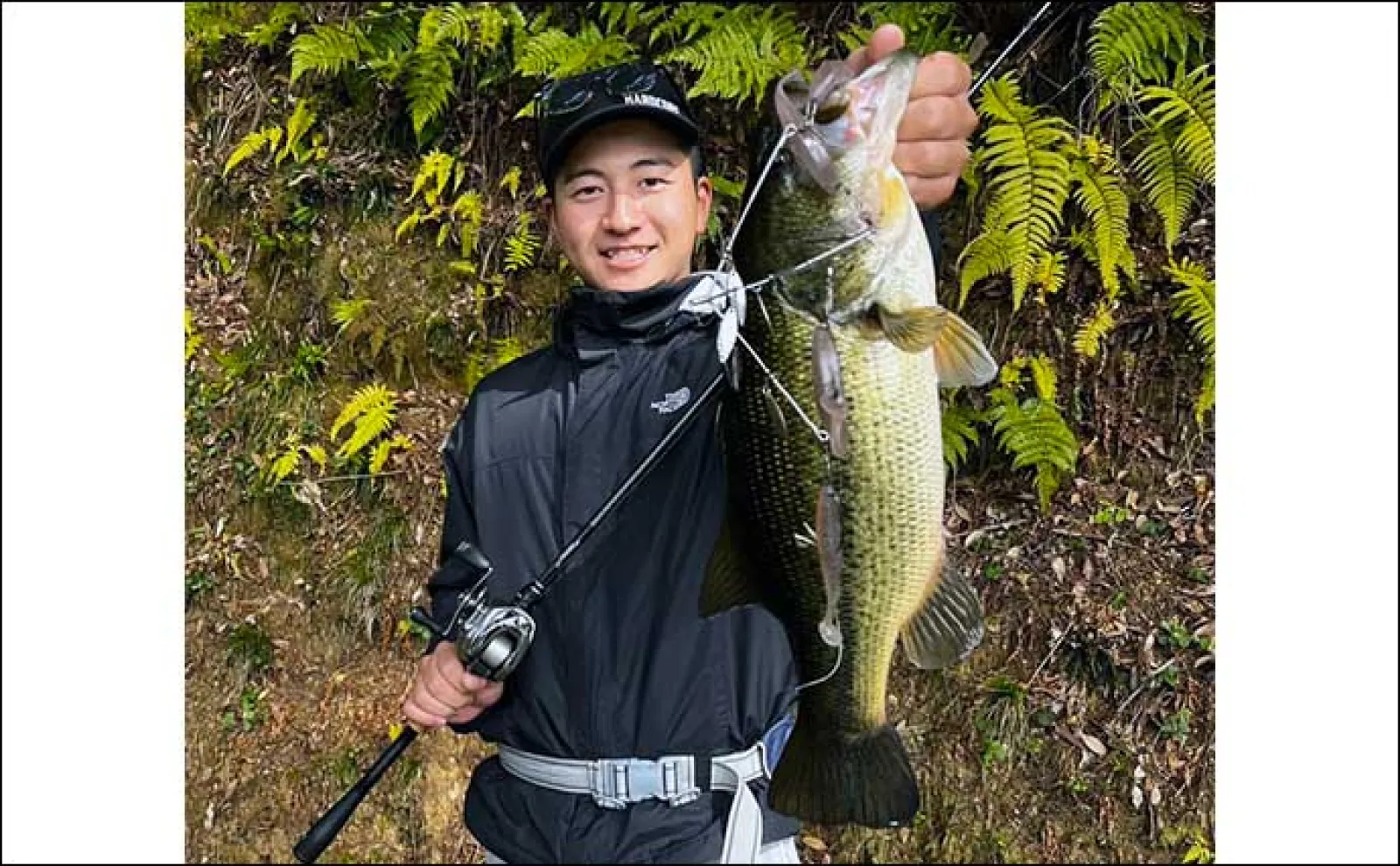 バス釣りでの【春のワカサギレイク攻略】 場所選び・ルアー・釣れるタイミングを解説