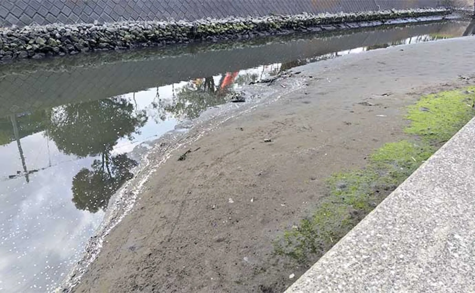 【ドブ川・日中・流れなし】釣れない条件揃った場所でもシーバスは釣れる