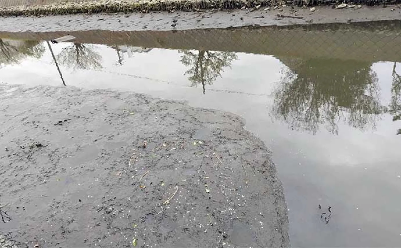 【ドブ川・日中・流れなし】釣れない条件揃った場所でもシーバスは釣れる