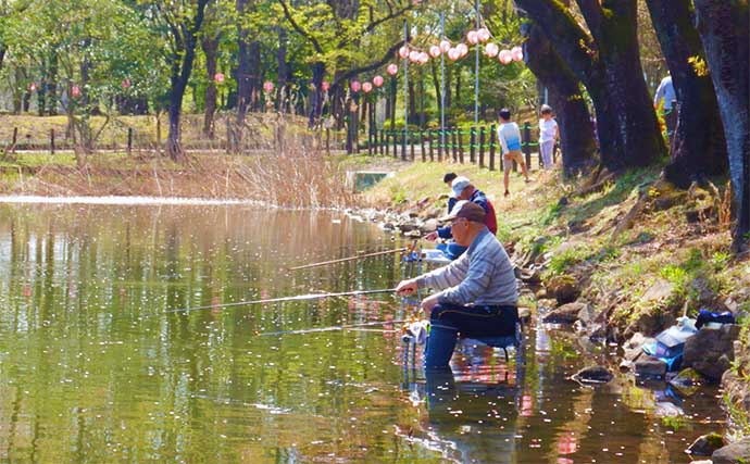 公園の池で61cm良型コイを手中【埼玉・鶴ヶ島運動公園】のべ竿パンコイ