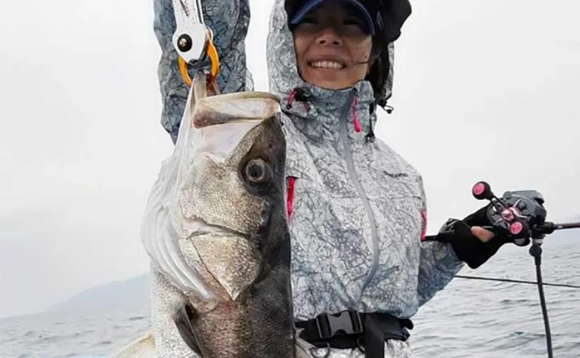 【釣果速報】福井のオフショアルアー釣りでシーバスにマダイにブリと賑やか