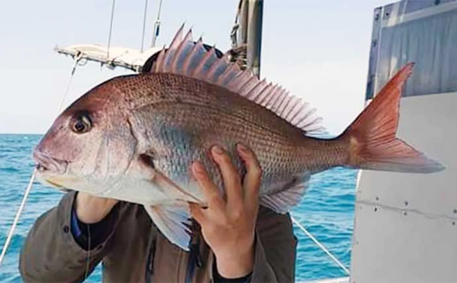 【釣果速報】玄界灘のルアーキャスティング釣行で21kg超えヒラマサ浮上(福岡)