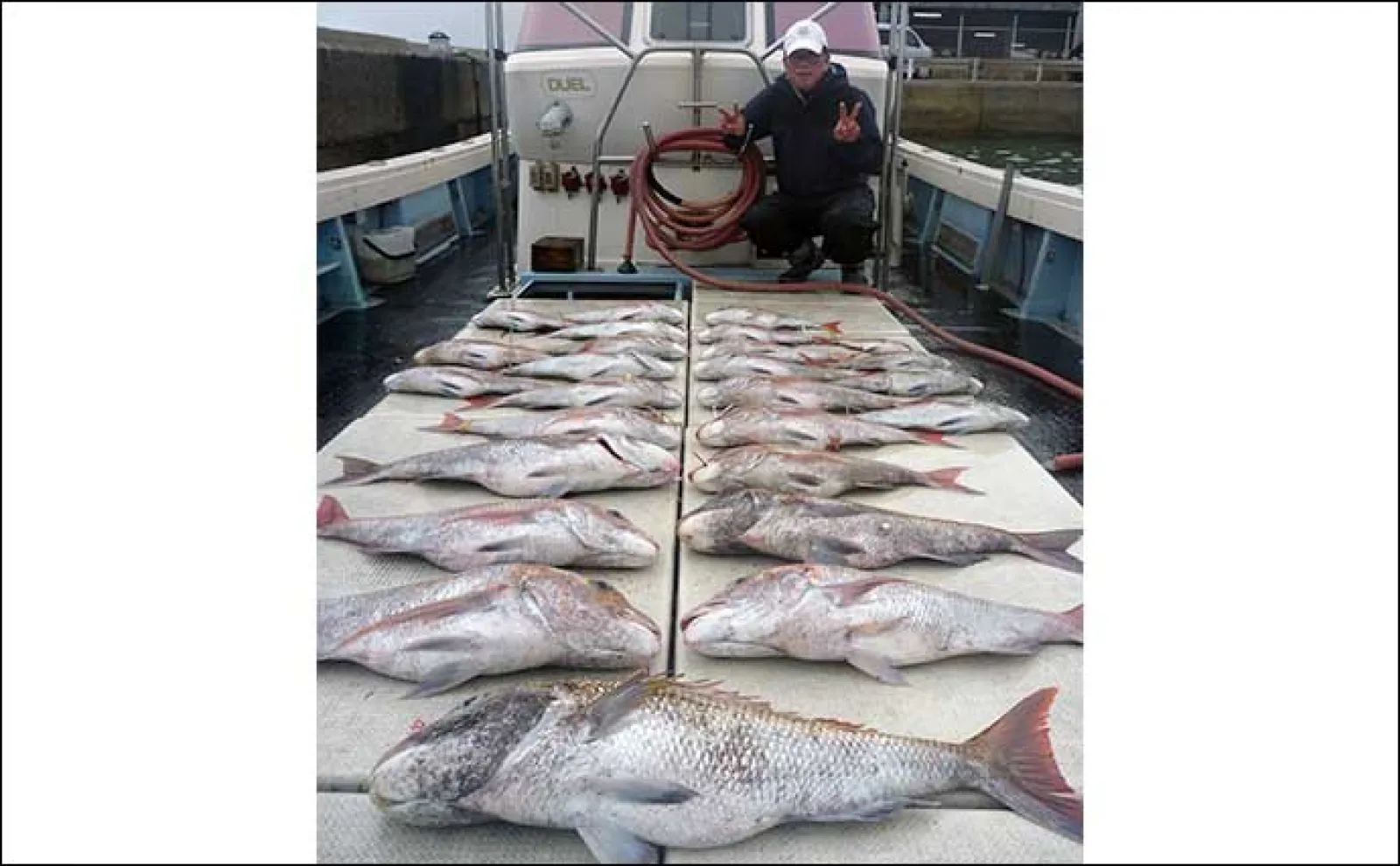 【釣果速報】玄界灘のルアーキャスティング釣行で21kg超えヒラマサ浮上(福岡)