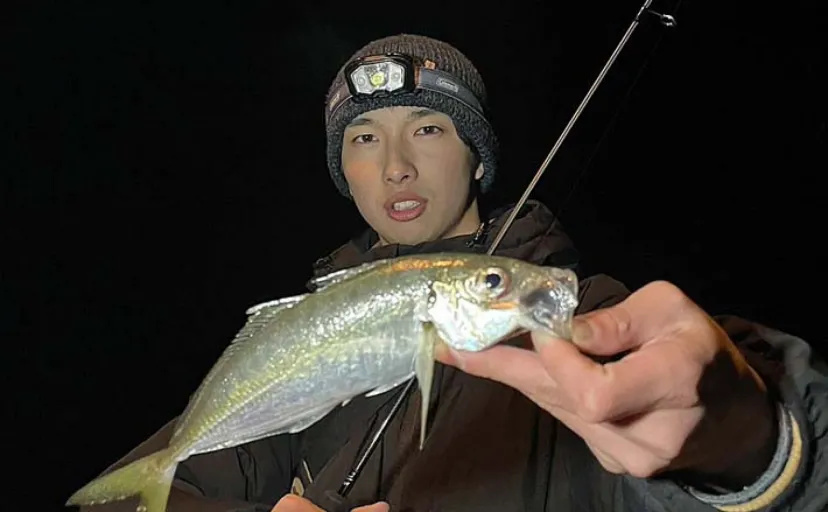 アジング釣行で23cm頭に17尾キャッチ【山口・周防大島】水温低下で食い渋りか