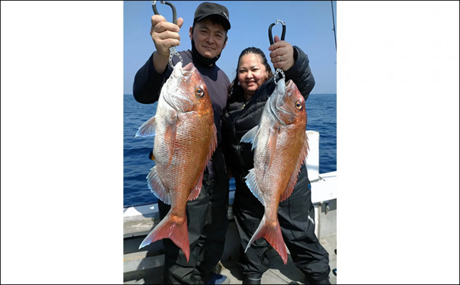 【最新釣果】イカメタル・胴突きでマイカ（ケンサキイカ）が好調顔出し（福井）