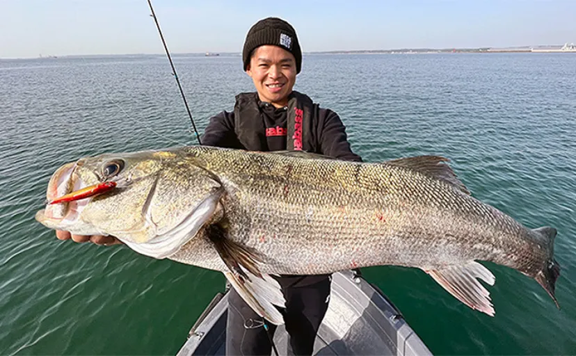 三河湾ボート釣りで80cm頭に良型シーバス乱舞　爆釣のカギはミノーのただ巻き？