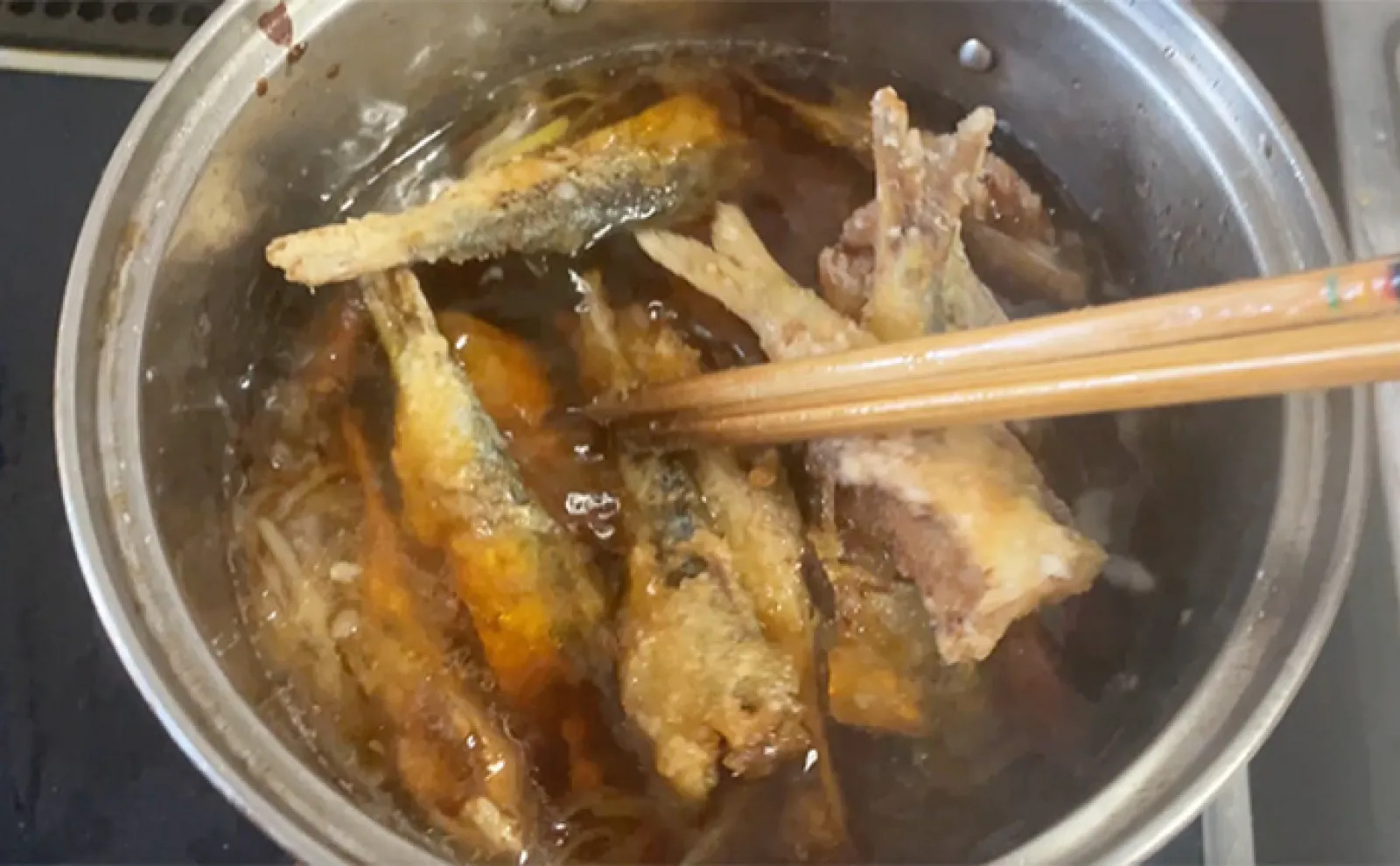 サビキ釣りでサッパを快釣【愛知・碧南海釣り公園】良型マダカも顔出し