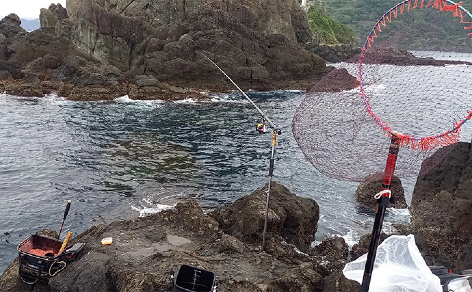 沖磯フカセ釣りで良型メジナを手中【静岡県・西伊豆】口太と尾長の両方を狙う