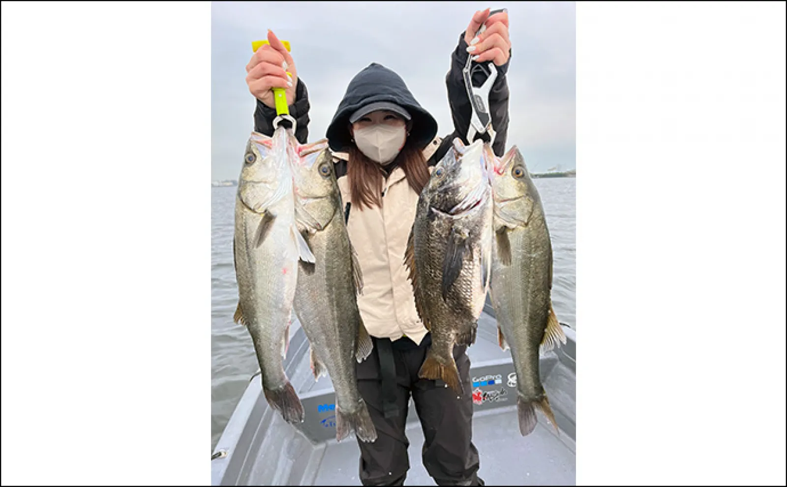 三河湾ボート釣りで80cm頭に良型シーバス乱舞 爆釣のカギはミノーのただ巻き?