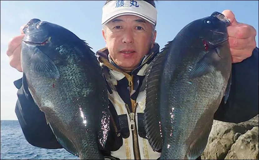 磯フカセ釣りで40cm級クロが連発【鹿児島】このまま梅雨グロ期に突入か？