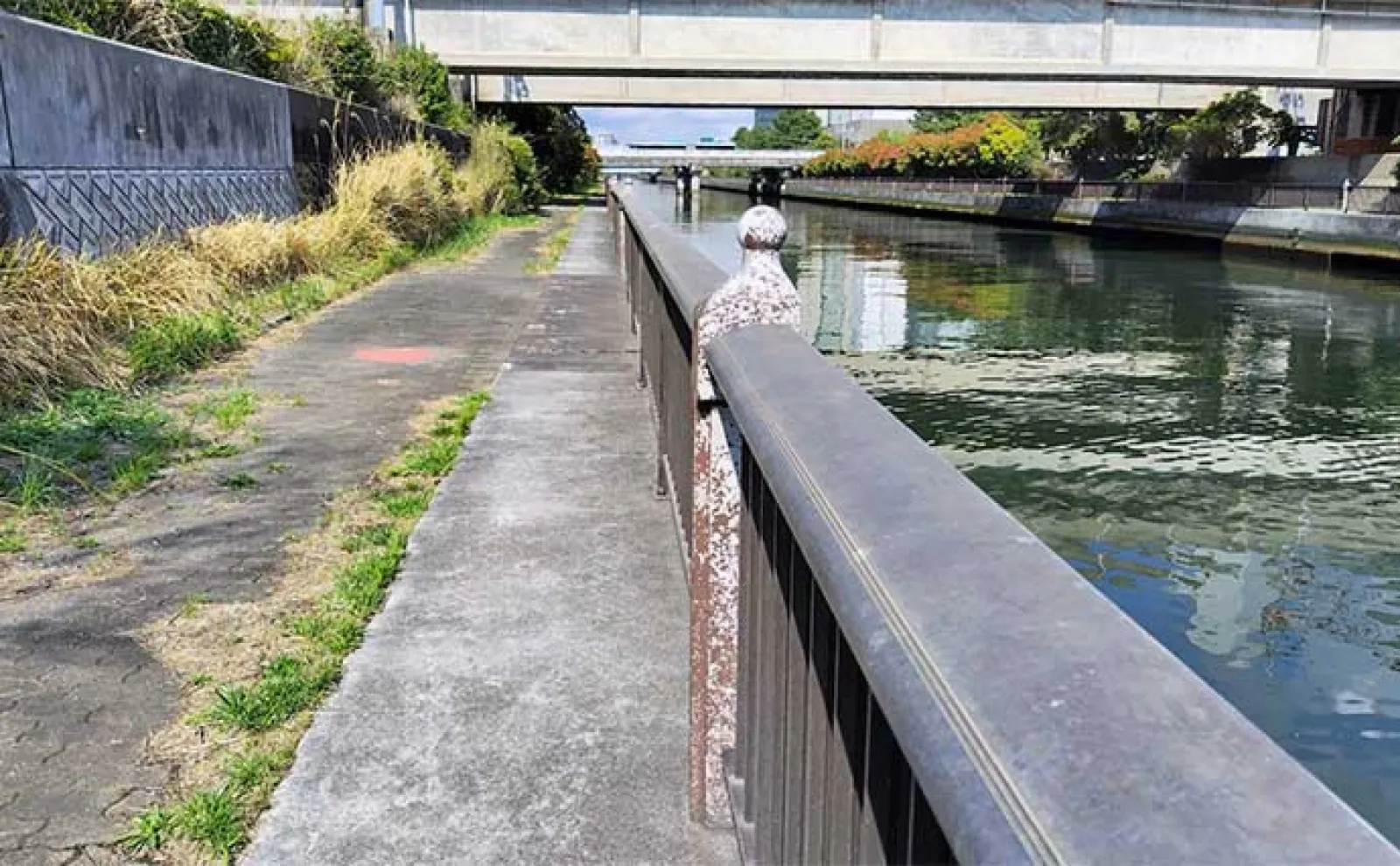 千葉県の『夢の河川』で60cm級シーバスが連発 買い物と釣りが一緒に楽しめる