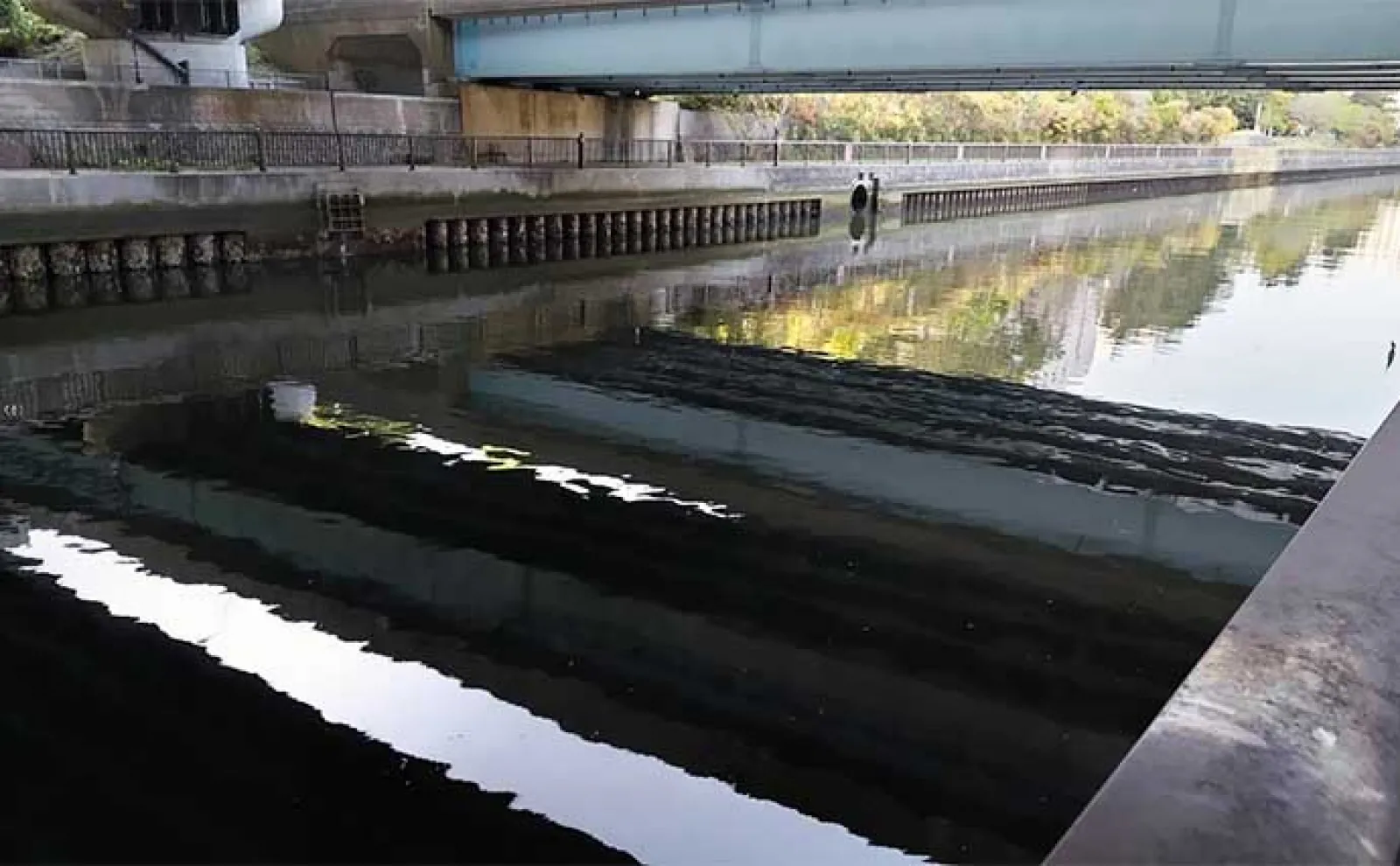 千葉県の『夢の河川』で60cm級シーバスが連発 買い物と釣りが一緒に楽しめる