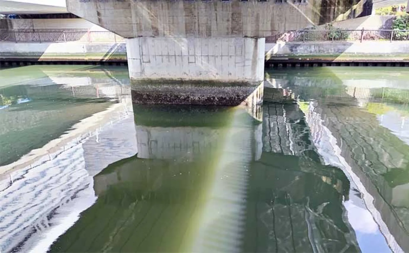 千葉県の『夢の河川』で60cm級シーバスが連発 買い物と釣りが一緒に楽しめる