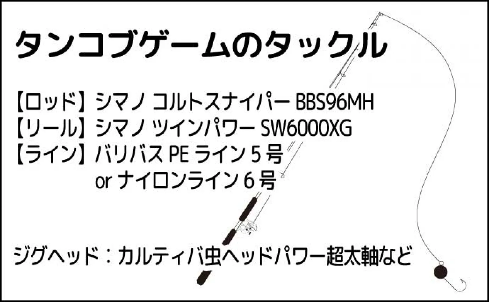 堤防最重量級魚『コブダイ』をエビとジグヘッドで釣る方法 【タックル・時期・釣り方】