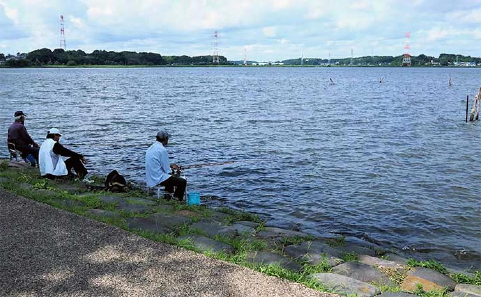 首都圏の淡水小物好釣り場：手賀沼公園【千葉】水と緑があふれる憩いの空間