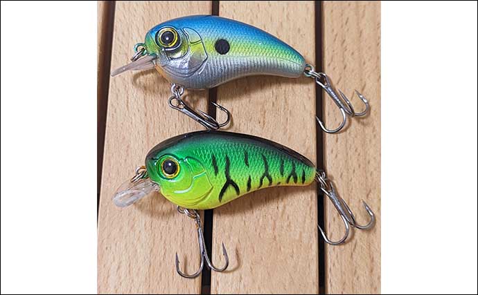 100円均一ショップ『ダイソー』の【バス釣りにおすすめのハードルアー5