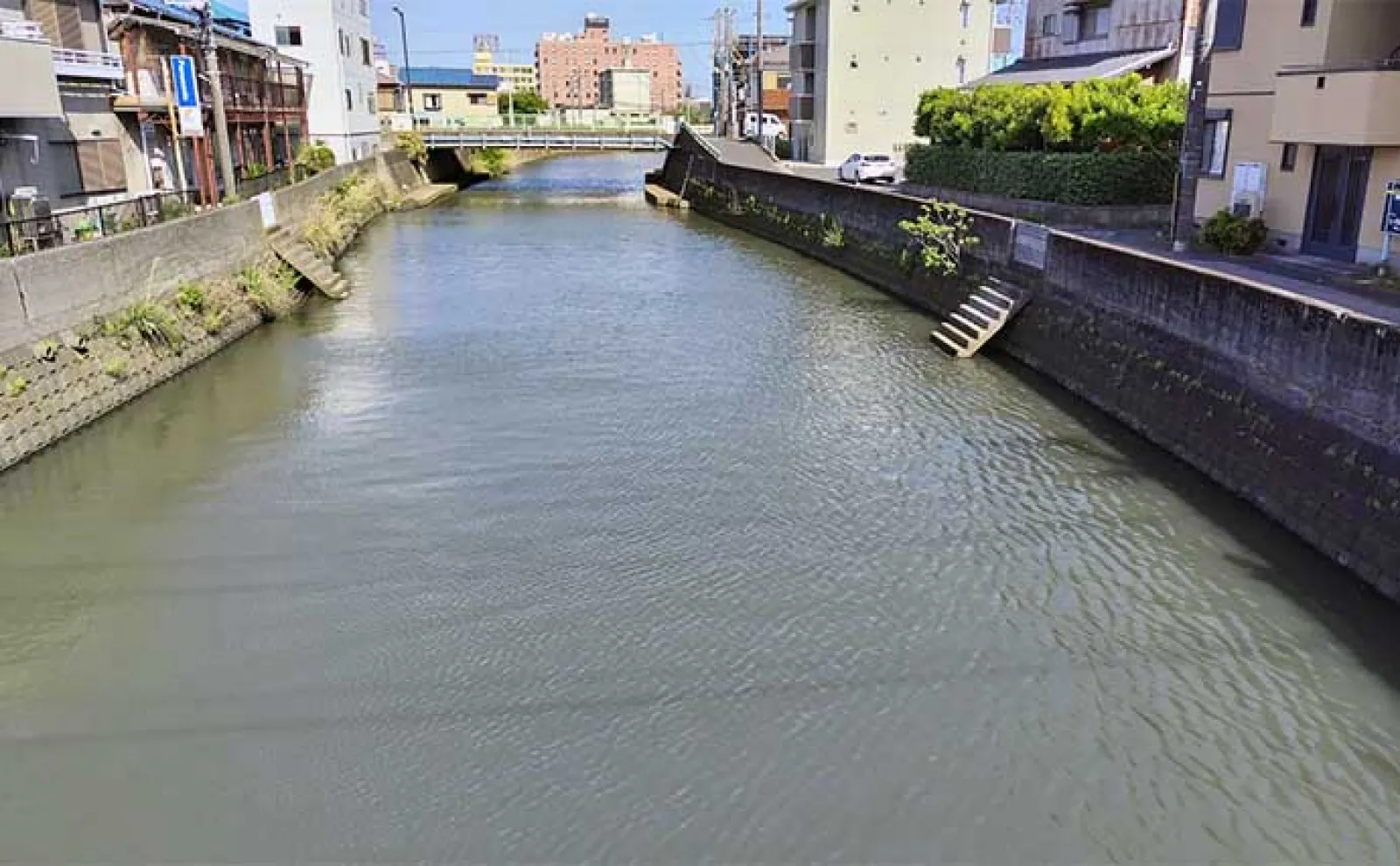 激スレポイントで46cm見えチヌ釣った【千葉・矢那川】メバル用プラグにヒット