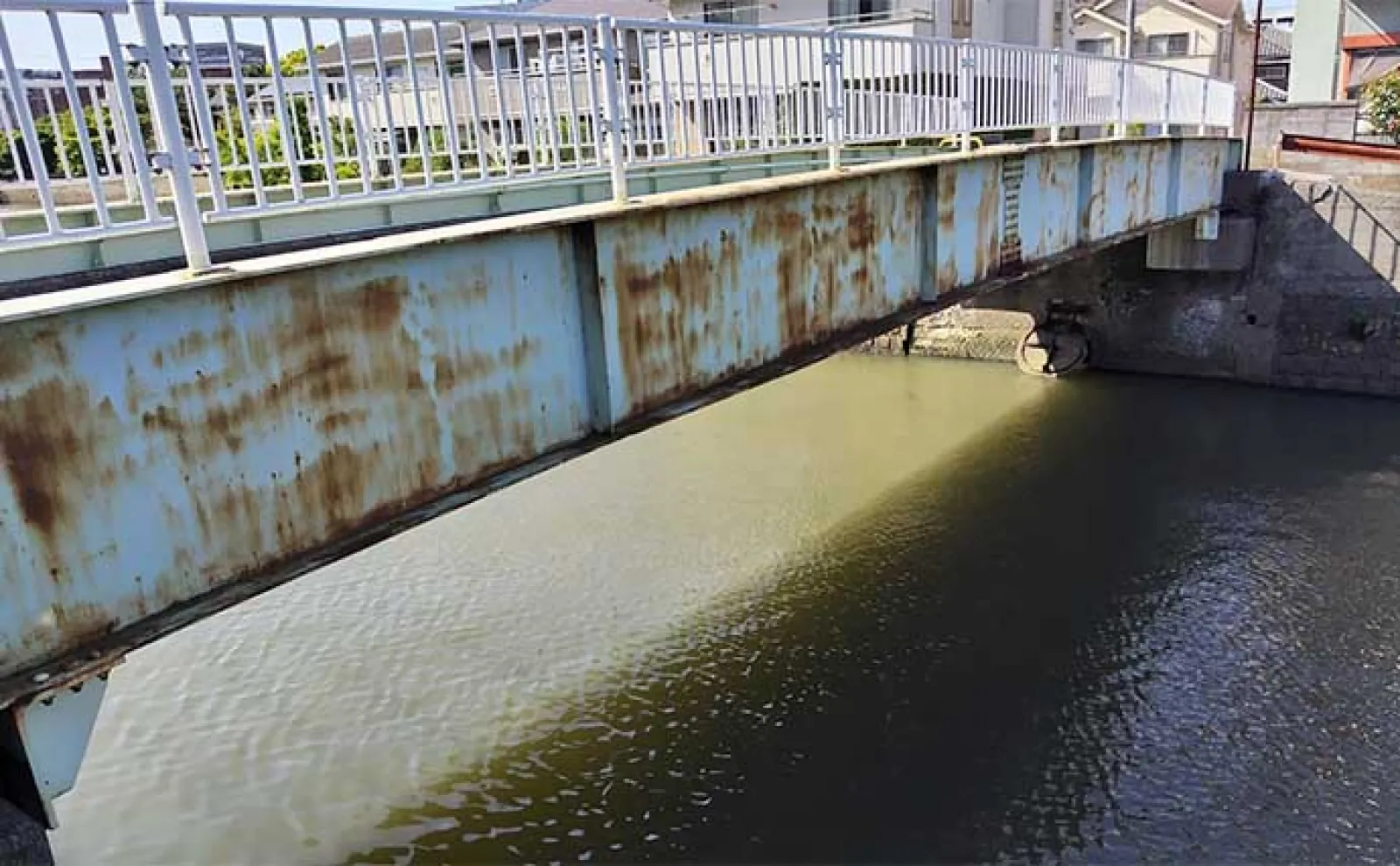 激スレポイントで46cm見えチヌ釣った【千葉・矢那川】メバル用プラグにヒット