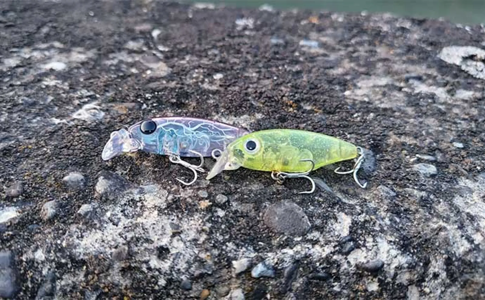 激スレポイントで46cm見えチヌ釣った【千葉・矢那川】メバル用プラグにヒット