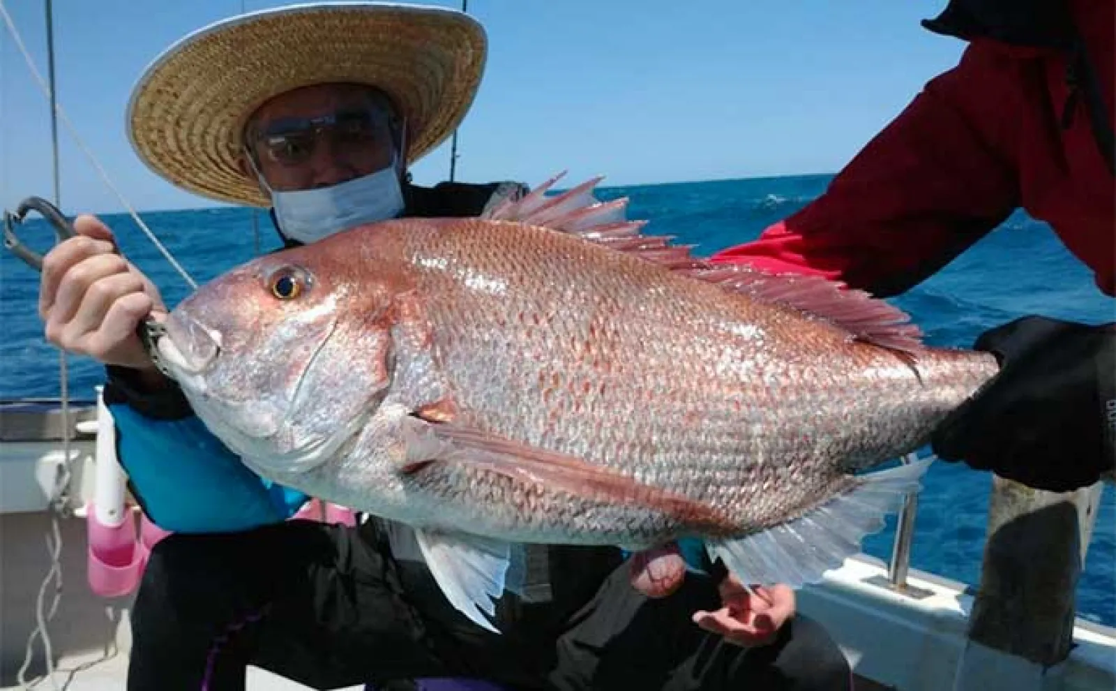 【釣果速報】福井のイカメタル船でマイカ(ケンサキ)釣る人30匹 スルメ混じりに快釣