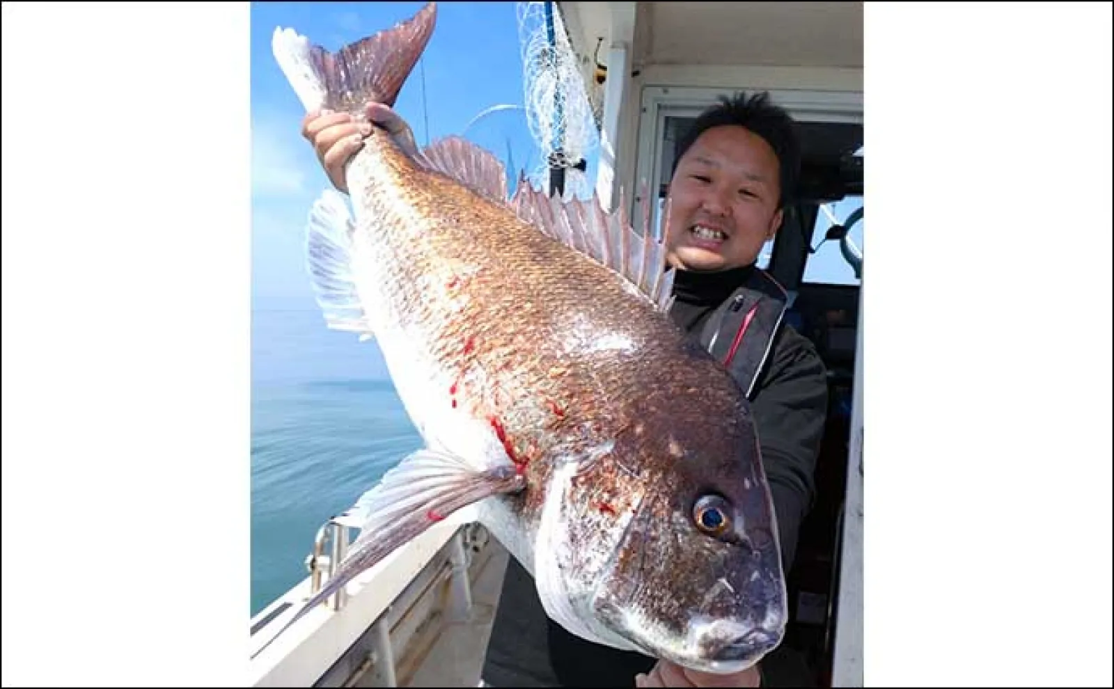 【釣果速報】福井のイカメタル船でマイカ(ケンサキ)釣る人30匹 スルメ混じりに快釣