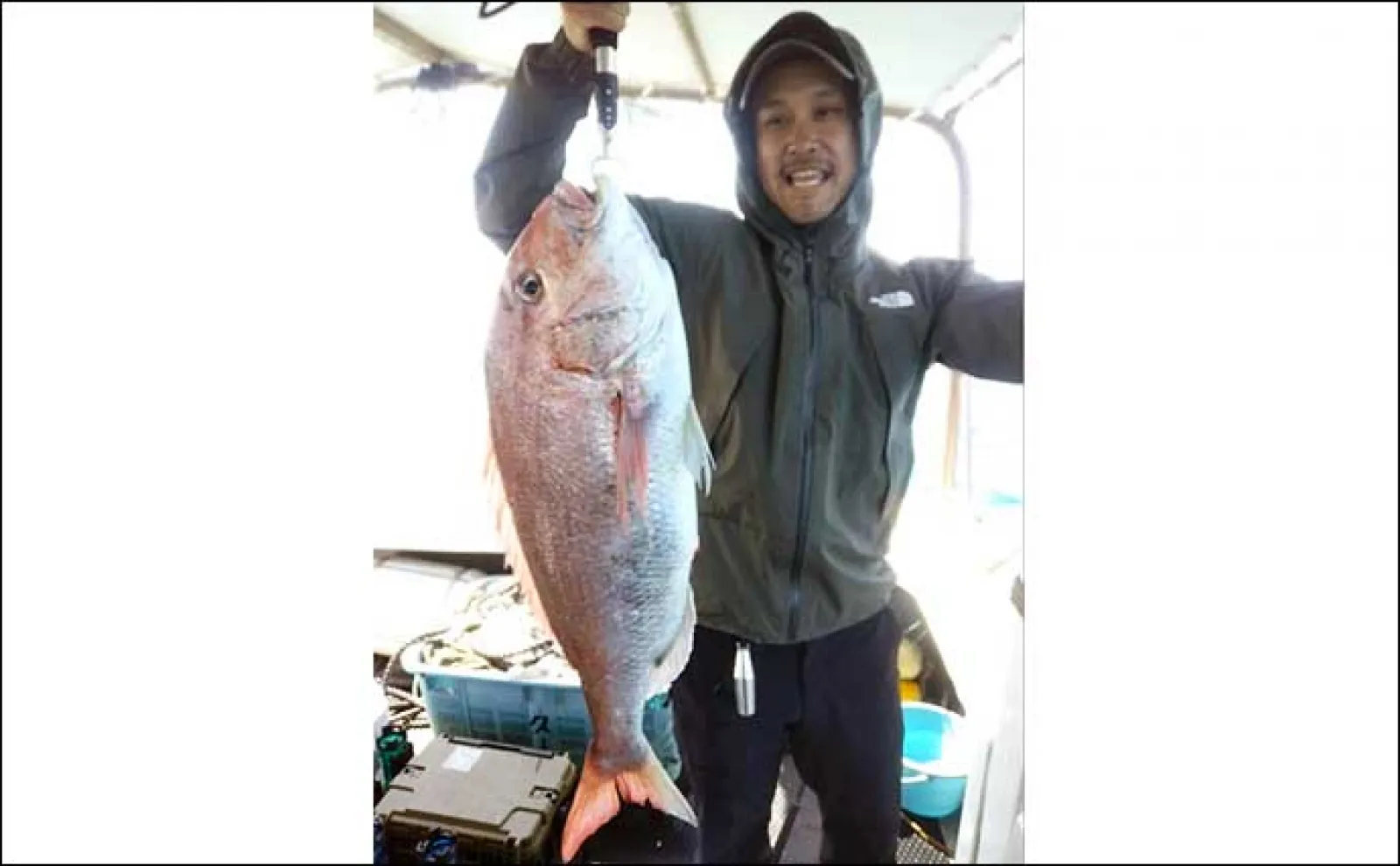 【釣果速報】タイラバで乗っ込みらしい大型マダイが続々ヒット中(福岡)