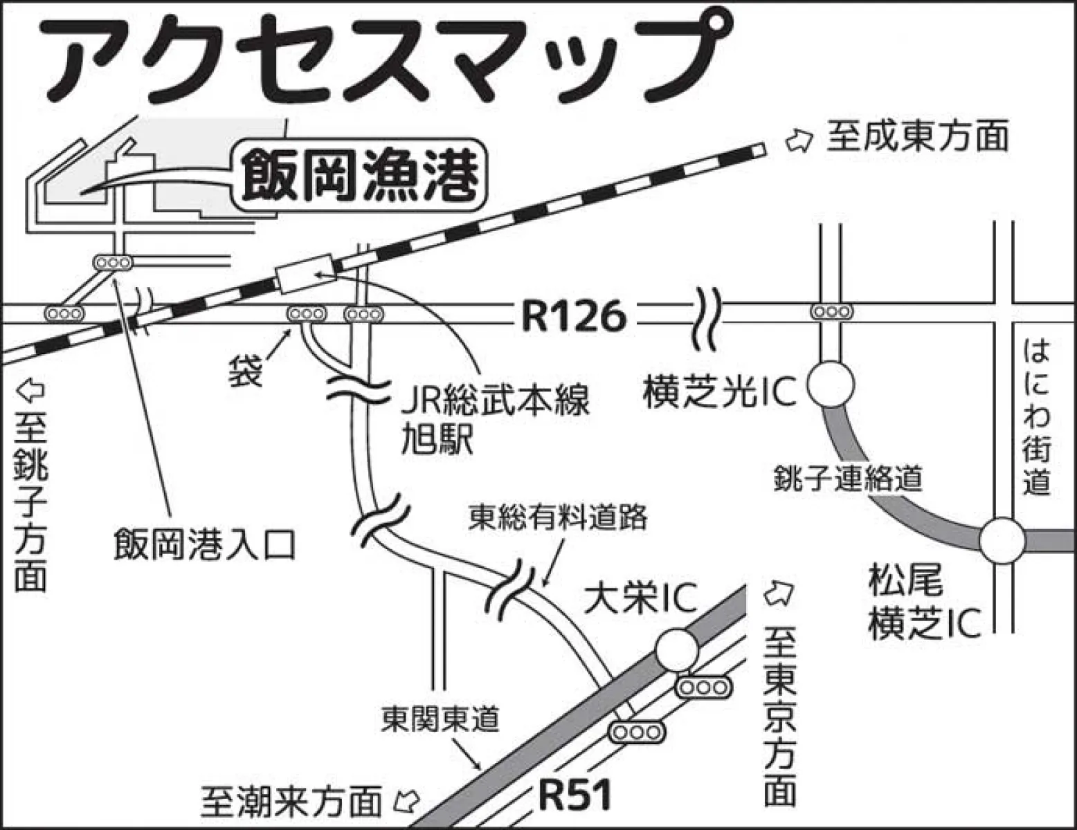 コウイカエギングで300gシリヤケイカ【千葉・飯岡漁港】岸壁沿いのテクトロでヒット