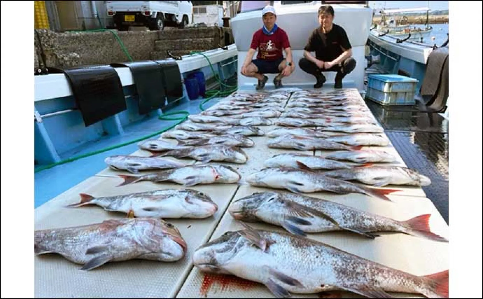 【最新釣果】タイラバで8kg級筆頭マダイ2桁にブリも顔出し(長崎・佐賀)