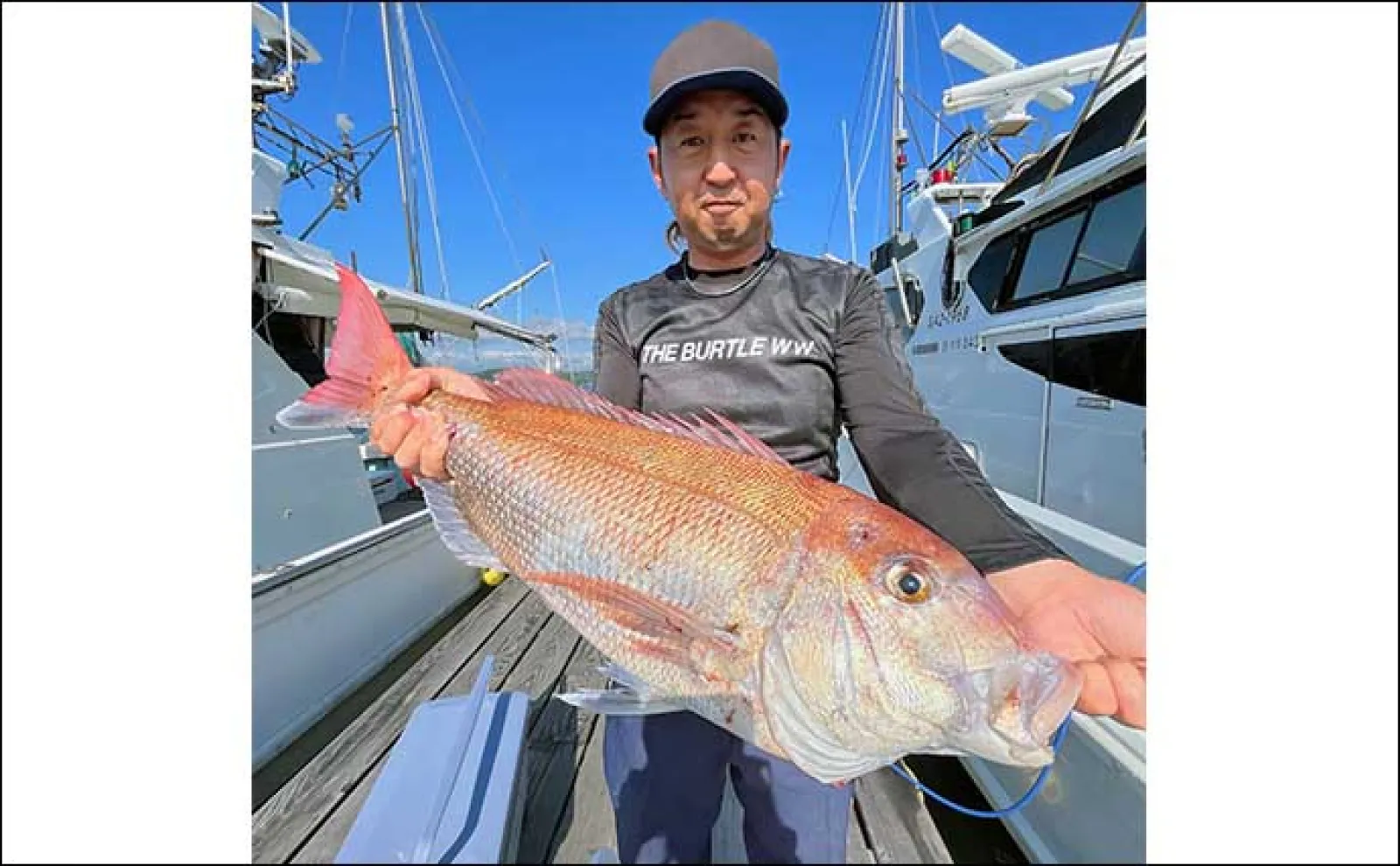 【最新釣果】タイラバで8kg級筆頭マダイ2桁にブリも顔出し(長崎・佐賀)