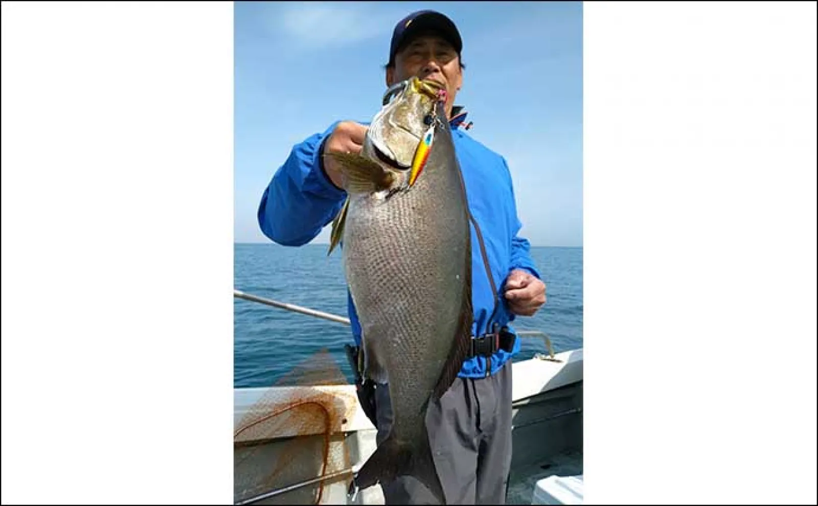 【釣果速報】タイラバで好ゲストの良型アマダイ浮上!マダイも順調にヒット(福岡)