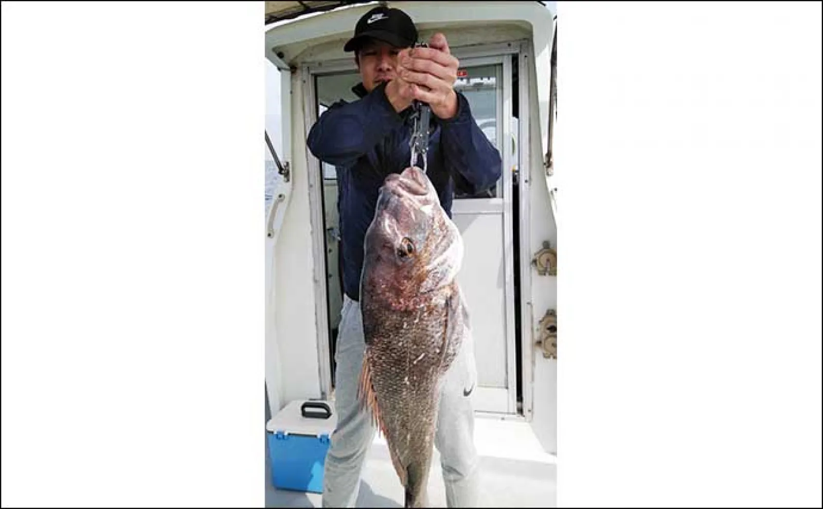 【釣果速報】タイラバで好ゲストの良型アマダイ浮上!マダイも順調にヒット(福岡)