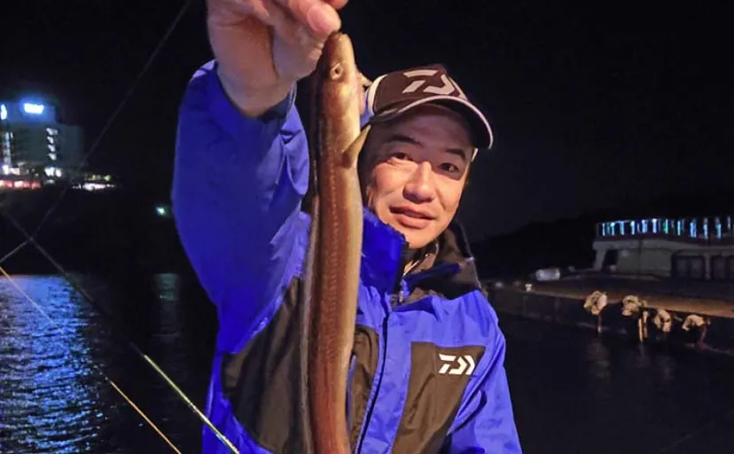 夜の堤防釣りでアナゴ10匹キャッチに大満足【三重・鳥羽港】遅アワセが重要