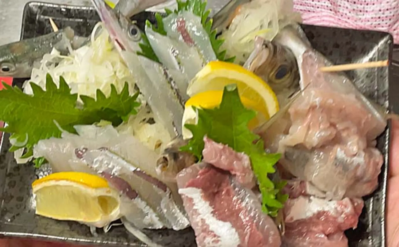 碧南海釣り広場でのサビキ釣りでアジにサヨリなど五目釣り達成【愛知】