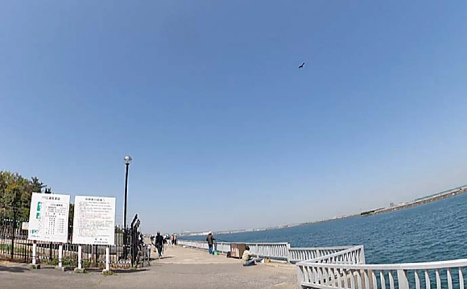 碧南海釣り広場でのサビキ釣りでアジにサヨリなど五目釣り達成【愛知】