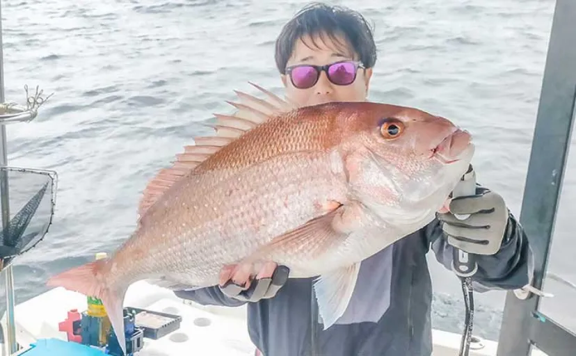 玄界灘ボートタイラバ釣行で70cm超え大型マダイ続々　全員安打の満足釣果に