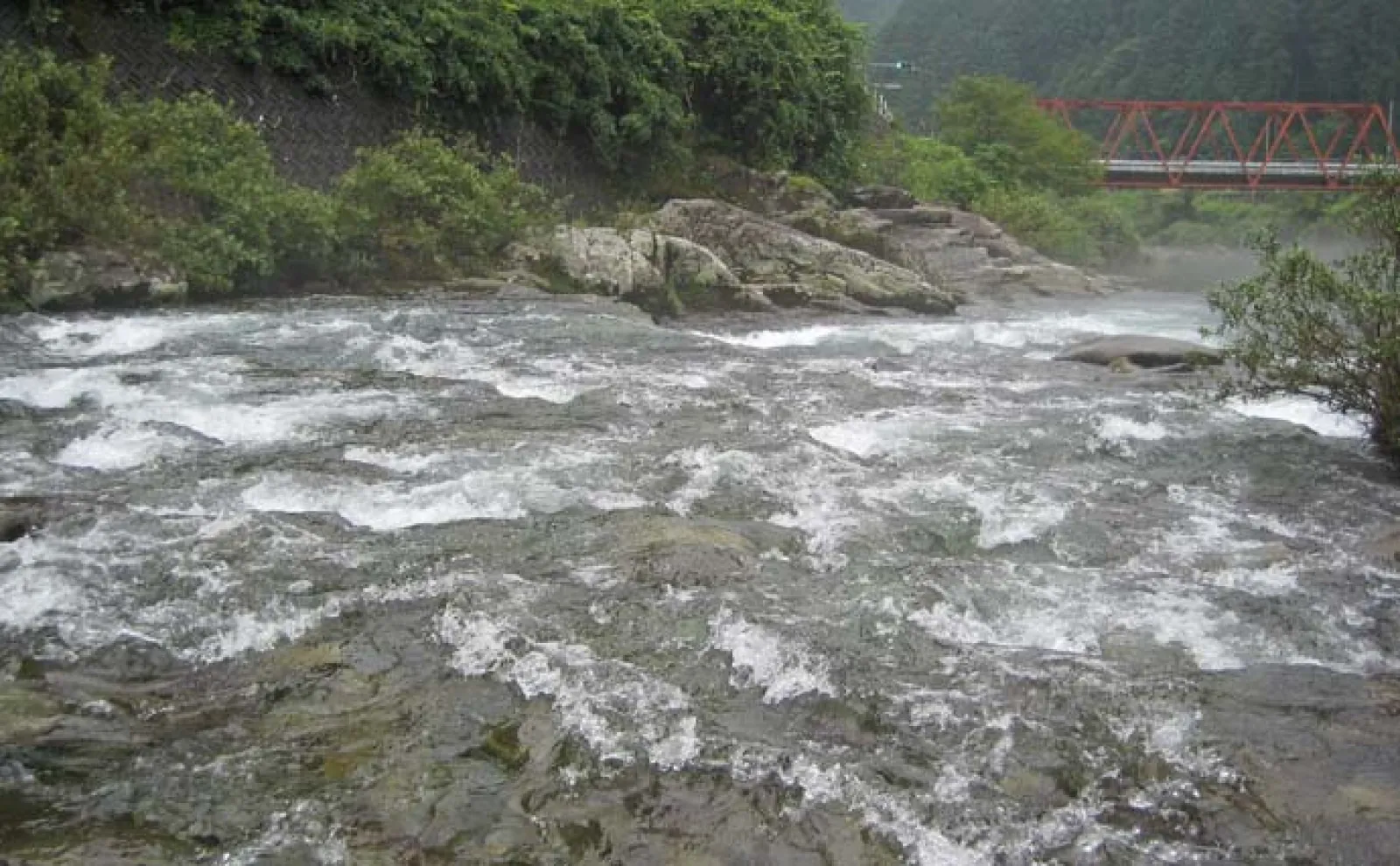 アユ釣りおすすめ河川2023:白川【岐阜・飛騨川漁協管内】8〜9月は大アユが狙える