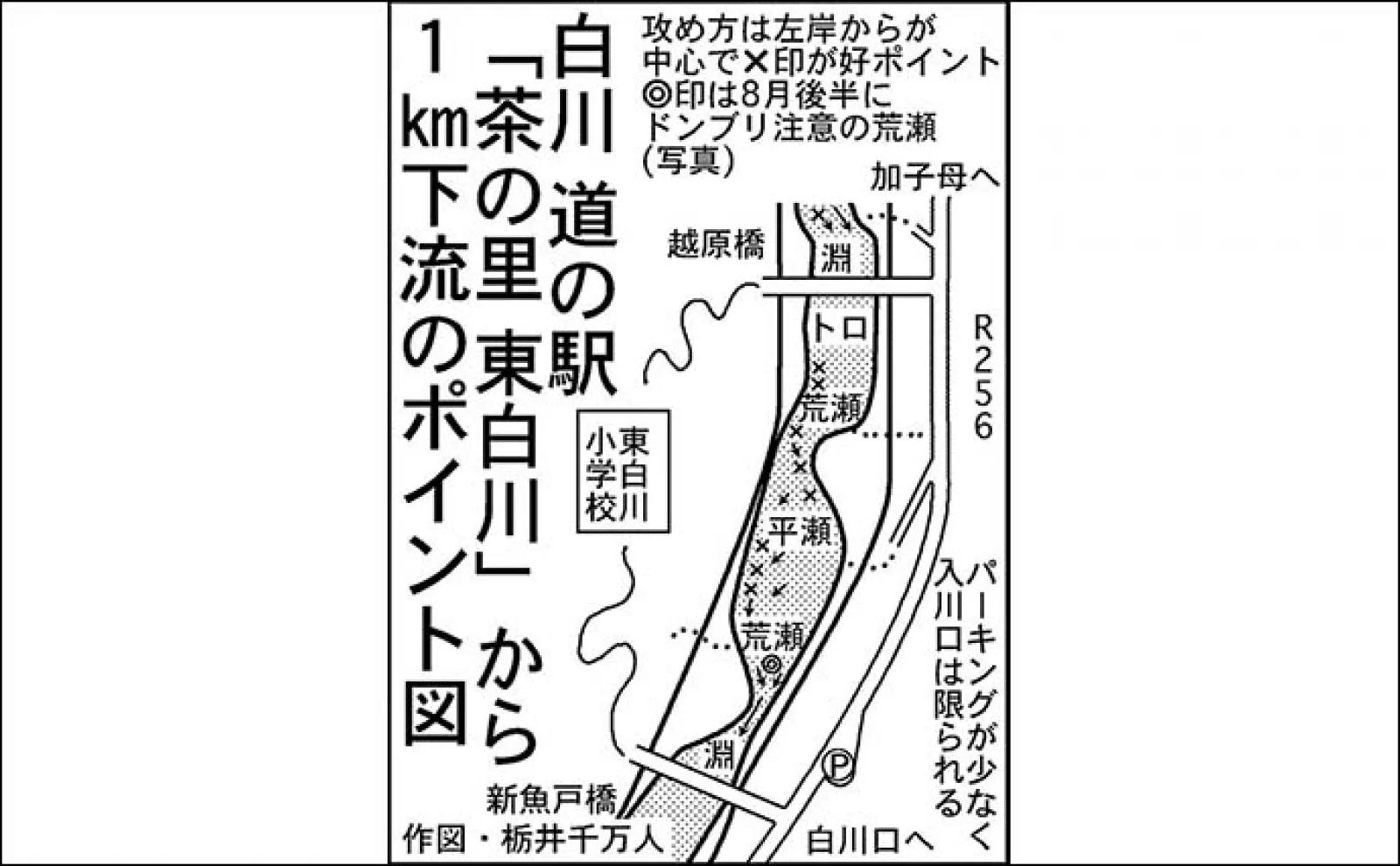 アユ釣りおすすめ河川2023:白川【岐阜・飛騨川漁協管内】8〜9月は大アユが狙える
