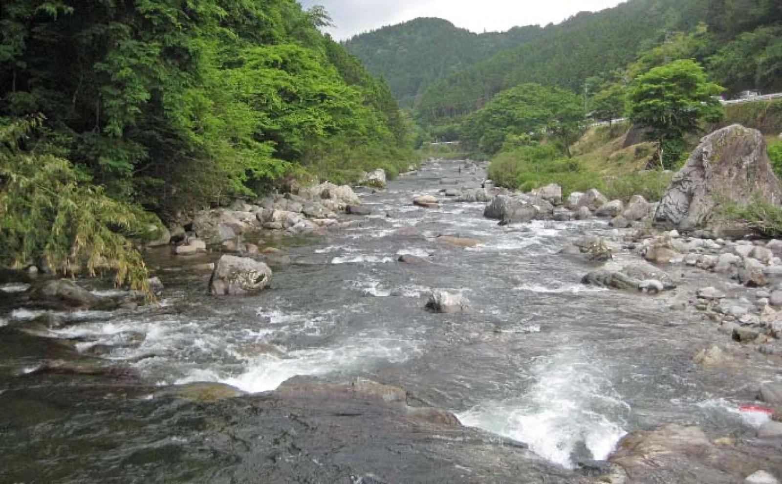 アユ釣りおすすめ河川2023:白川【岐阜・飛騨川漁協管内】8〜9月は大アユが狙える