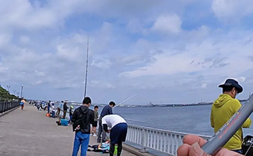 サビキ釣りでアジにサッパにサバ手中【愛知・武豊～碧南】サビキのハイシーズン間近か