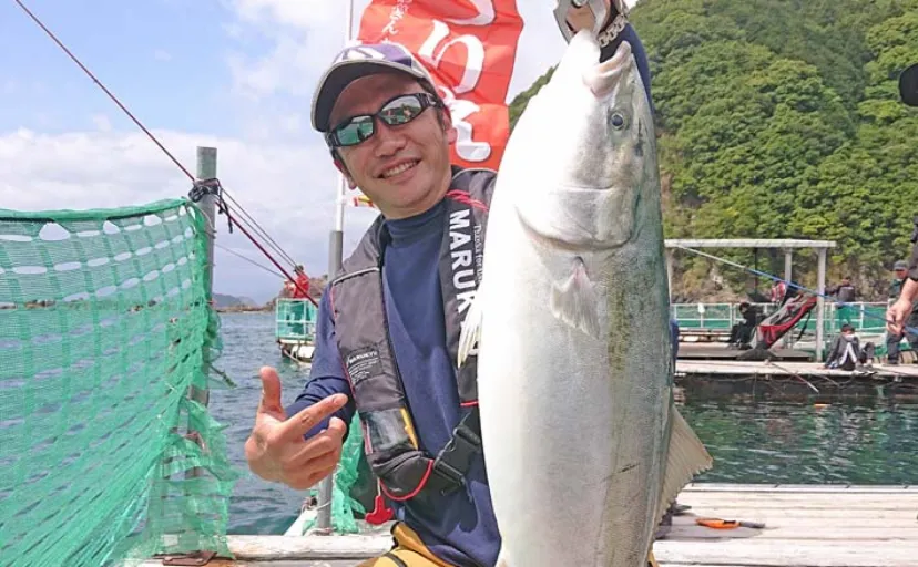 海上釣り堀でマダイや青物が好調【三重・正徳丸】名物の伊勢ブリもお目見え