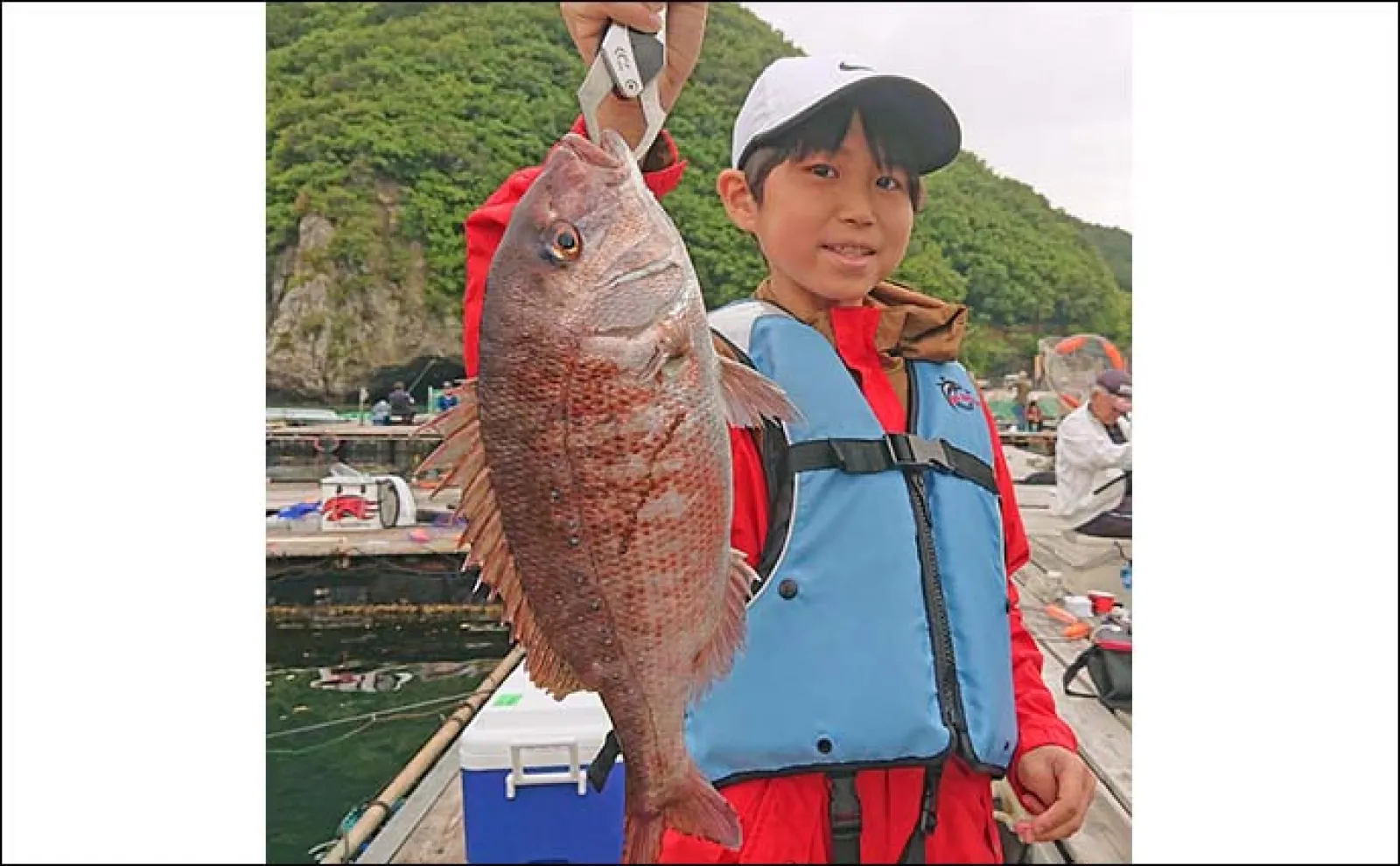海上釣り堀でマダイや青物が好調【三重・正徳丸】名物の伊勢ブリもお目見え