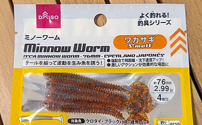 100円均一ショップ『ダイソー』の【ブラックバス釣りにオススメの