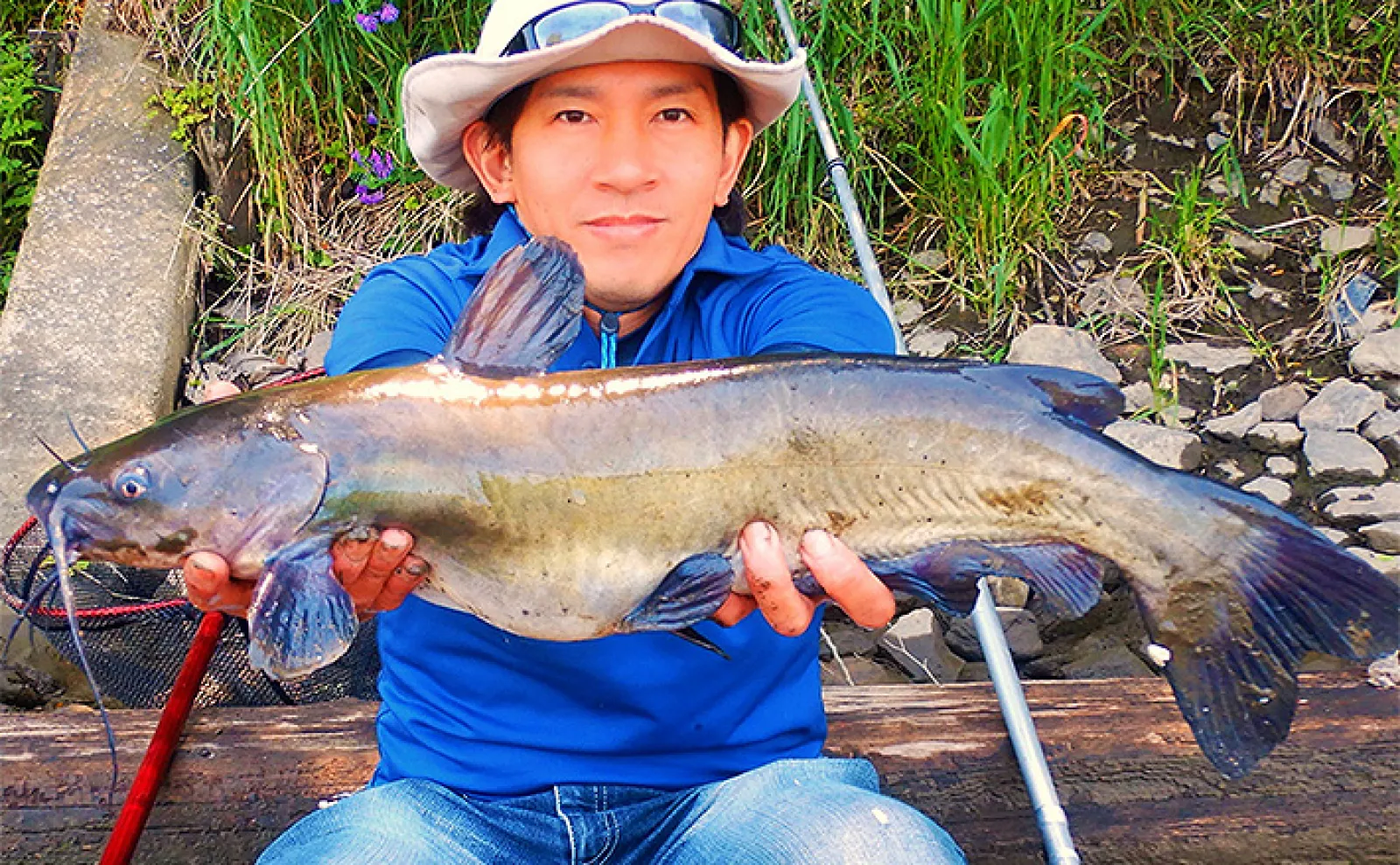 パン＆ミミズエサでの淡水釣りで4魚種ゲット【埼玉・元荒川